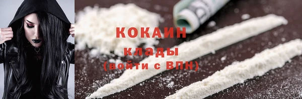 ешки Алексин