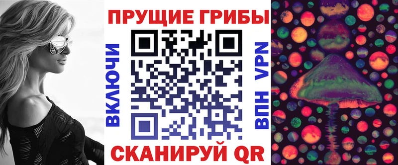 Псилоцибиновые грибы мицелий  Покров 