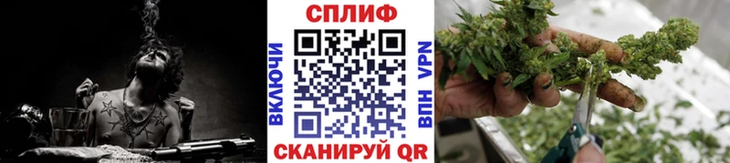 Каннабис план  купить закладку  Покров 